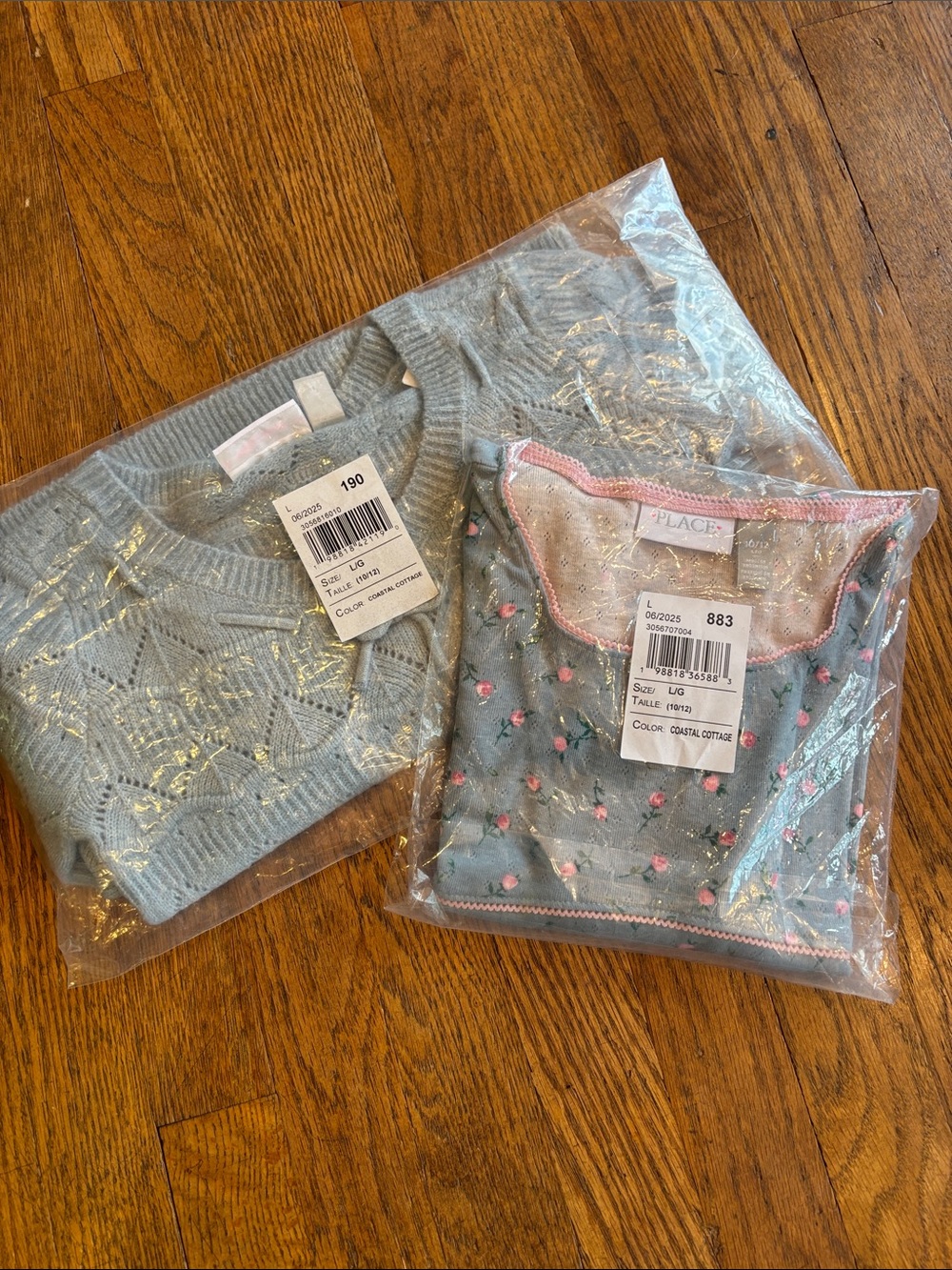 The Children's Place Light Blue Sweater & Embroidered Floral Set
